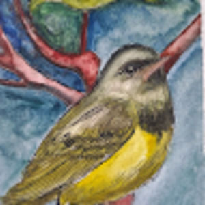 Meet your Posher, Jaenae